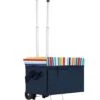 Ottoman Cooler With Trolley