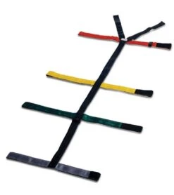 Lifeguard 10 Point Straps