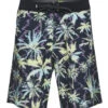 Quiksilver Men's 19" Highlite Arch Board Shorts